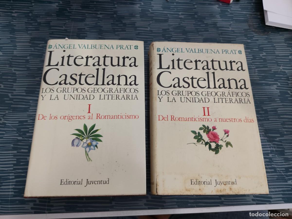 Libros de segunda mano: LITERATURA CASTELLANA,LOS GRUPOS GEOGRAFICOS Y LA UNIDAD LITERARIA,2 T, JUVENTUD EDITORIAL,1924,LEER