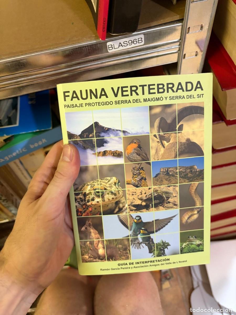 Libri di seconda mano: BLAS96B Fauna vertebrada. Paisaje Protegido Serra del Maigm&oacute; y Serra del Sit. Gu&iacute;a de interpretaci&oacute;n
