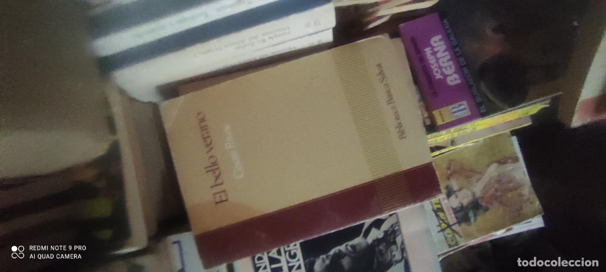 Libros de segunda mano: El bello verano Ed. Salvat 1985