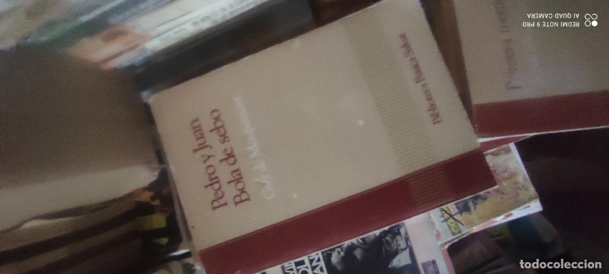 Libros de segunda mano: Pedro y Juan. Bola de sebo / Maupassant Ed. Salvat 1985