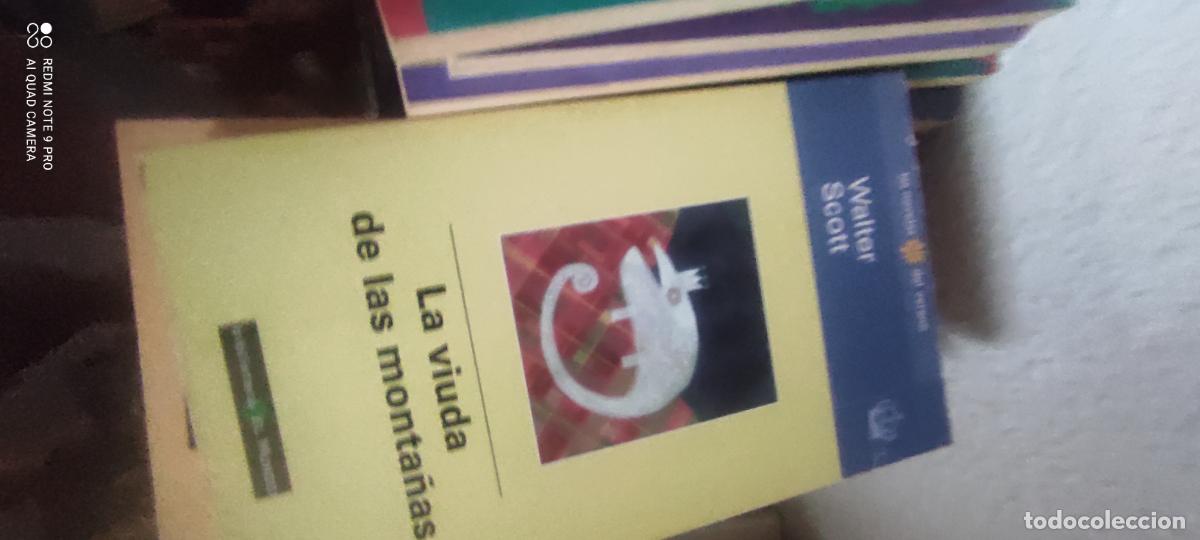 Libros de segunda mano: Scott. La viuda de las monta&ntilde;as