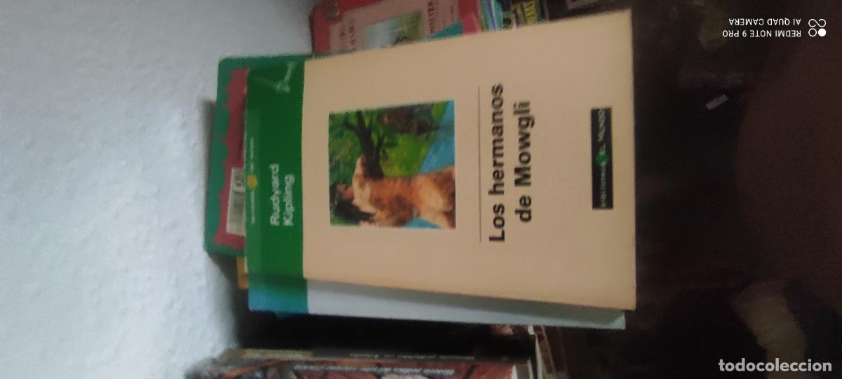 Libros de segunda mano: Kipling. Los hermanos de Mowgli