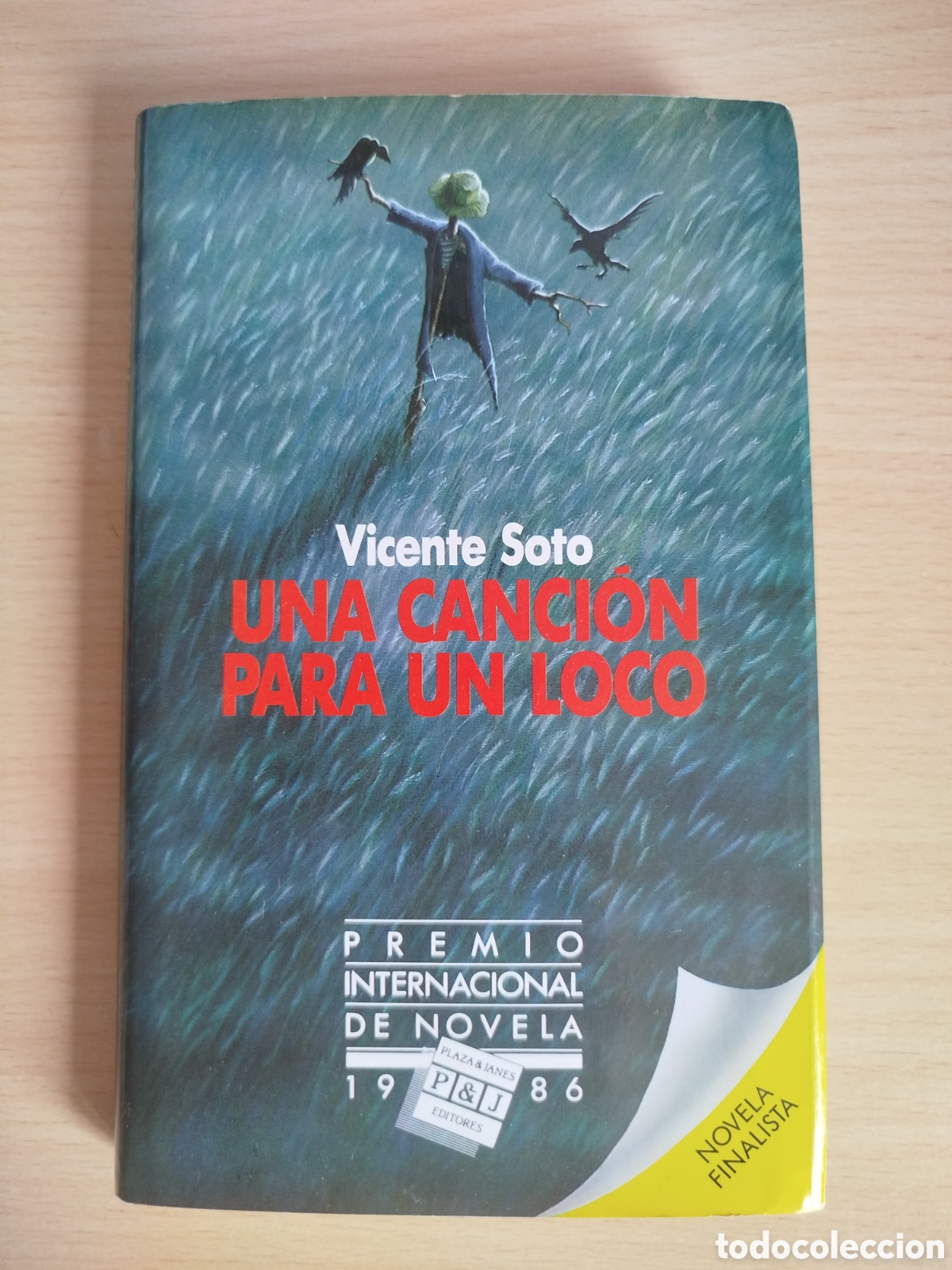 Libros de segunda mano: Una canci&oacute;n para un loco