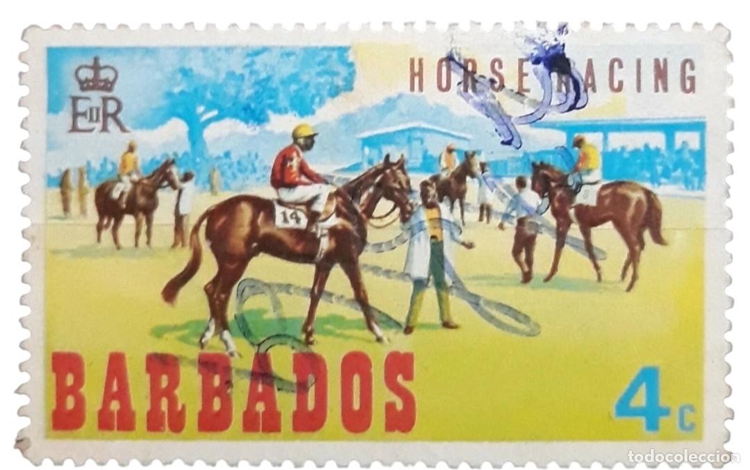 Libros de segunda mano: BARBADOS 1969 Carreras de caballos. USADO.