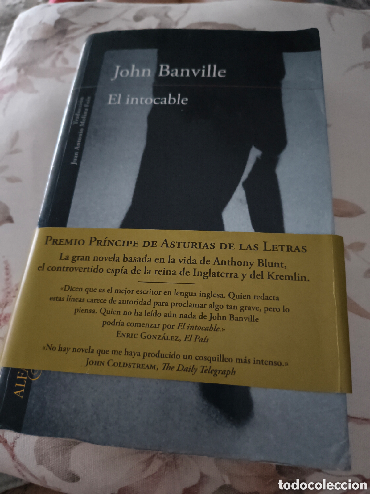 Libros de segunda mano: EL INTOCABLE DE JOHN BANVILLE (ALFAGUARA)