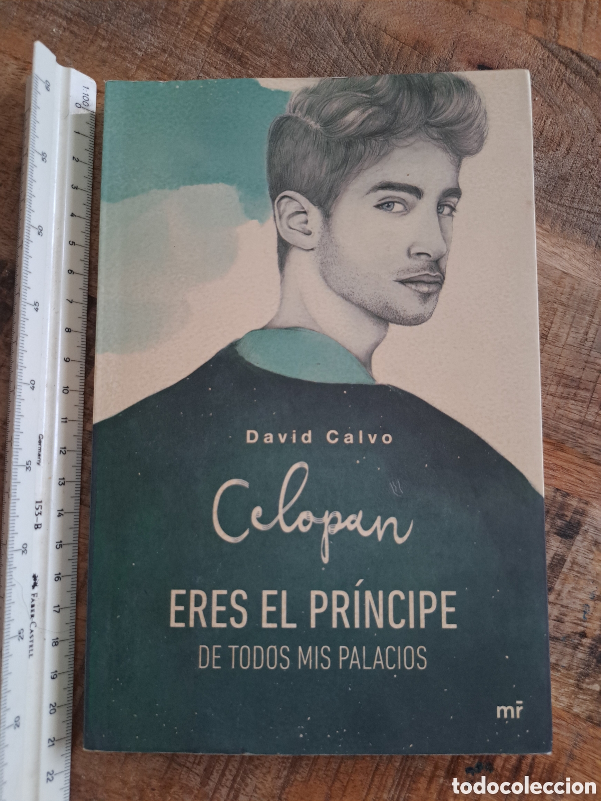 Libros de segunda mano: Jml David Calvo. Celopan. Eres el principe de todos mis palacios. Ediciones martinez roca. 2017