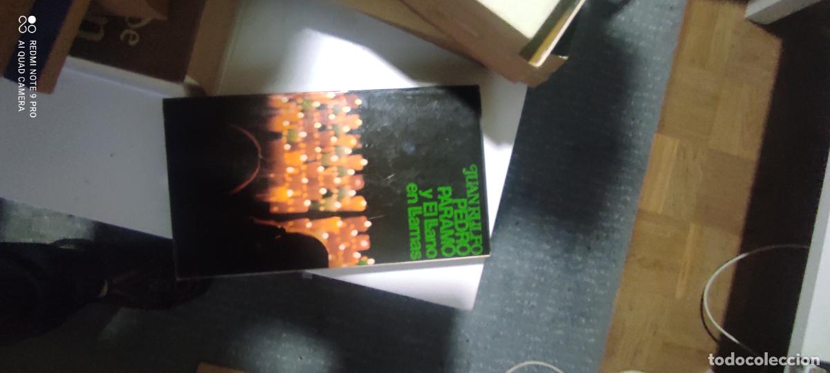 Gebrauchte B&uuml;cher: Rulfo. Pedro P&aacute;ramo y el llano en llamas