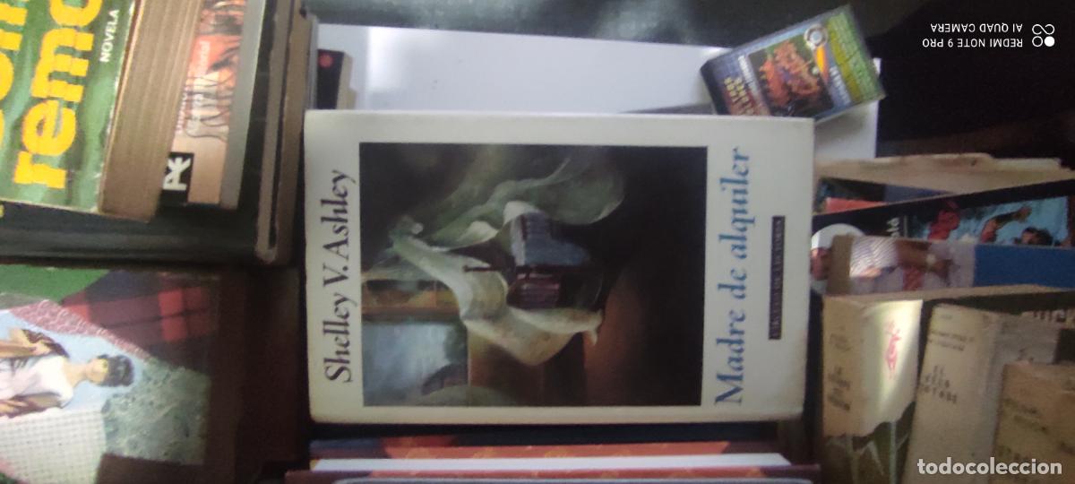 Libros de segunda mano: Ashley. madre de alquiler
