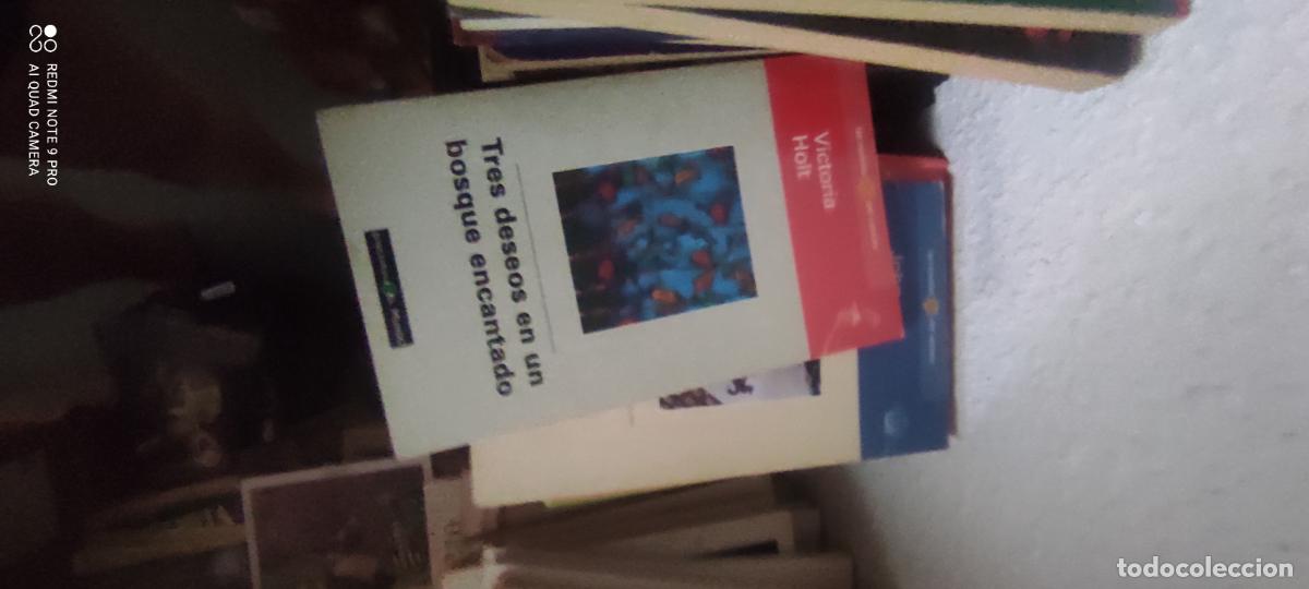 Libros de segunda mano: V. Holt. Tres deseos en un bosque encantado