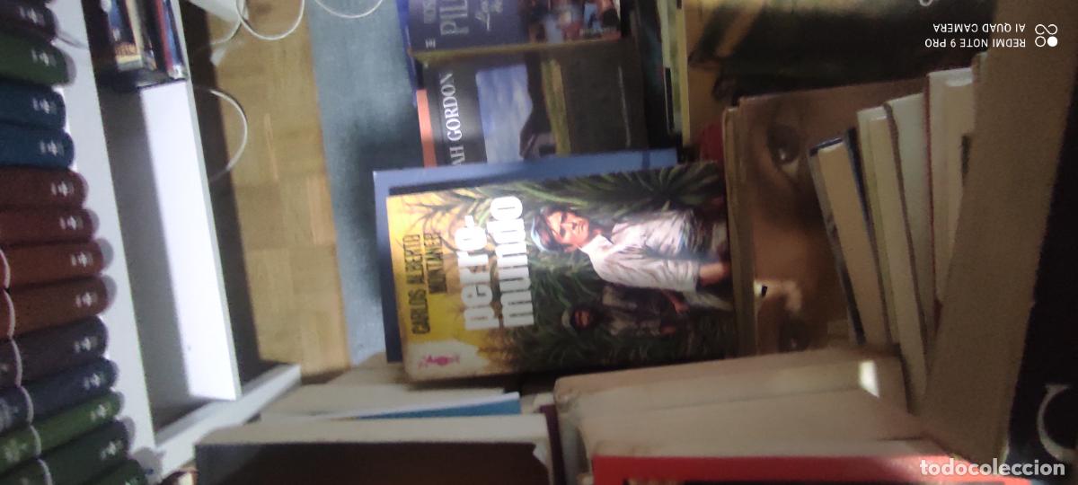 Libros de segunda mano: Vazquez Figueroa Perro Mundo
