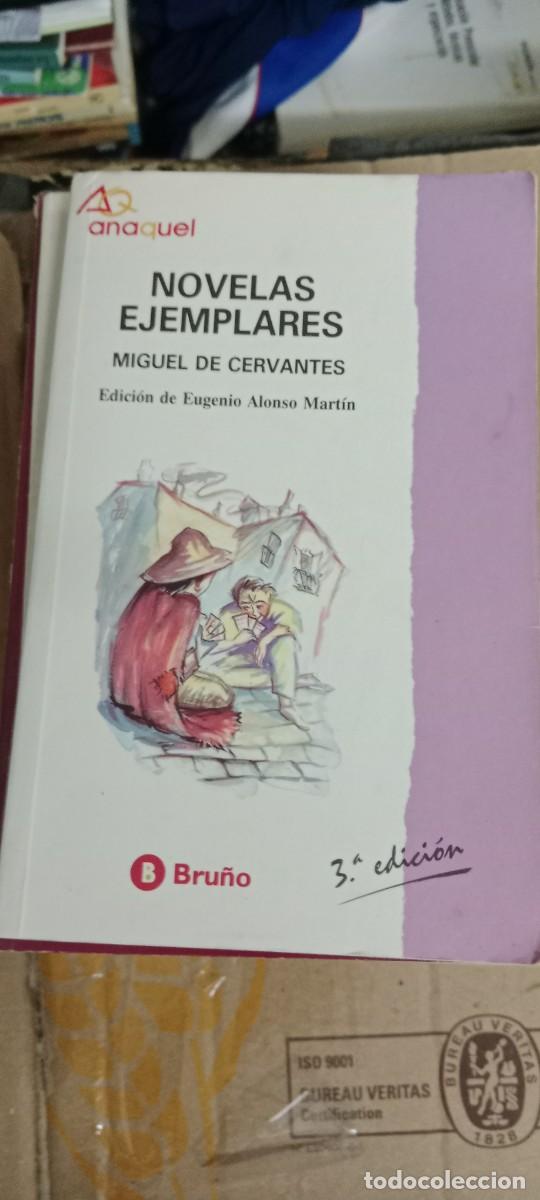 Libros de segunda mano: NOVELAS EJEMPLARES MIGUEL DE CERVANTES LIBRO GG-829