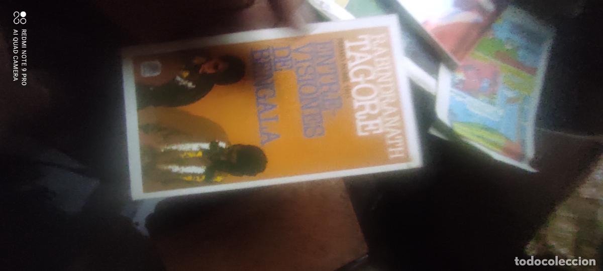 Libros de segunda mano: Entre visiones de Bengala - Rabindranath Tagore