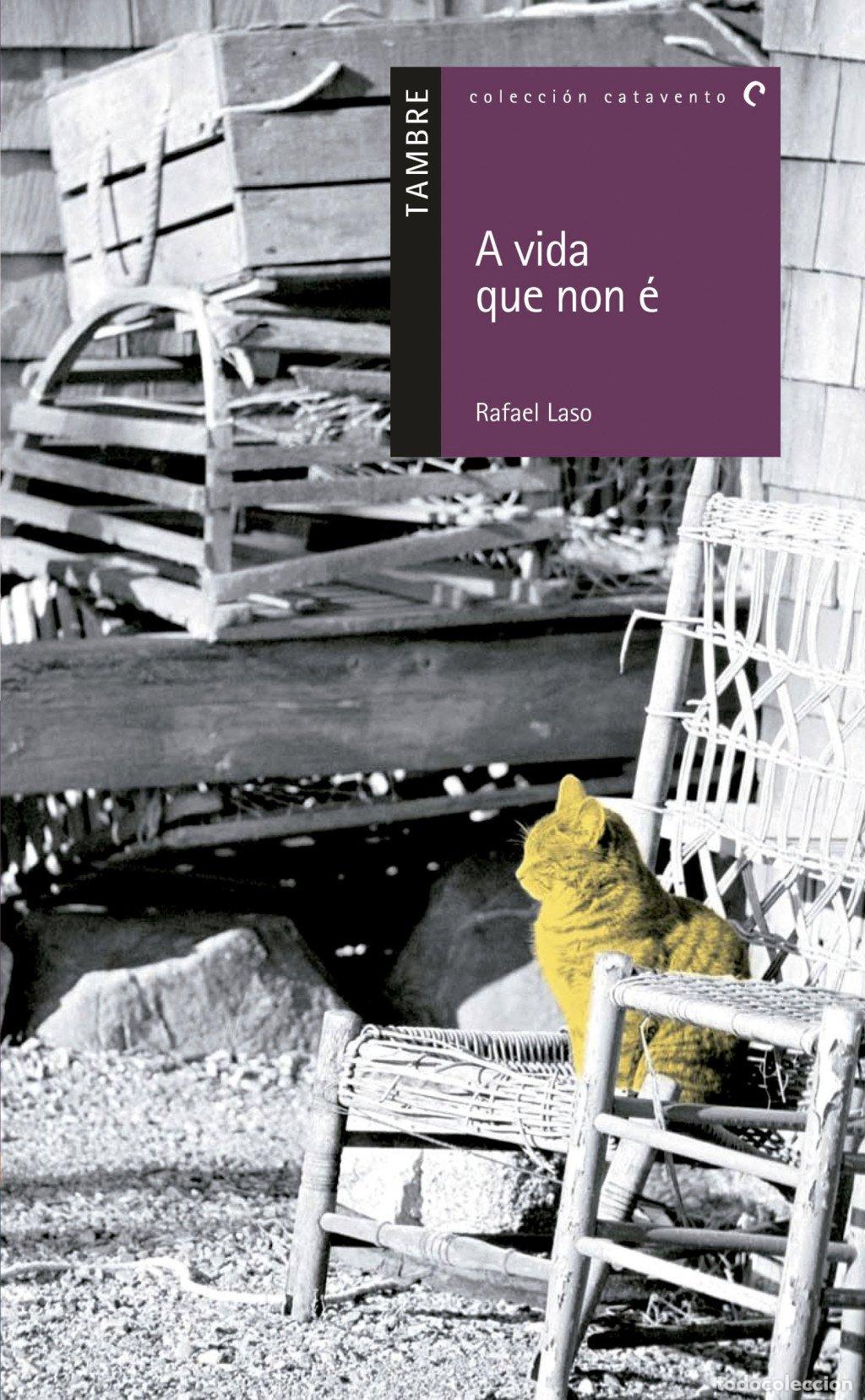 Libros de segunda mano: A Vida Que Non &Eacute; - Rafael Laso Lorenzo - Editorial Tambre - Catavento, 25