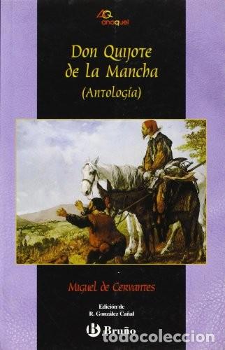Libros de segunda mano: Don Quijote de la Mancha (Antolog&iacute;a) - Miguel de Cervantes - Editorial Bru&ntilde;o - Castellano - Anaquel,