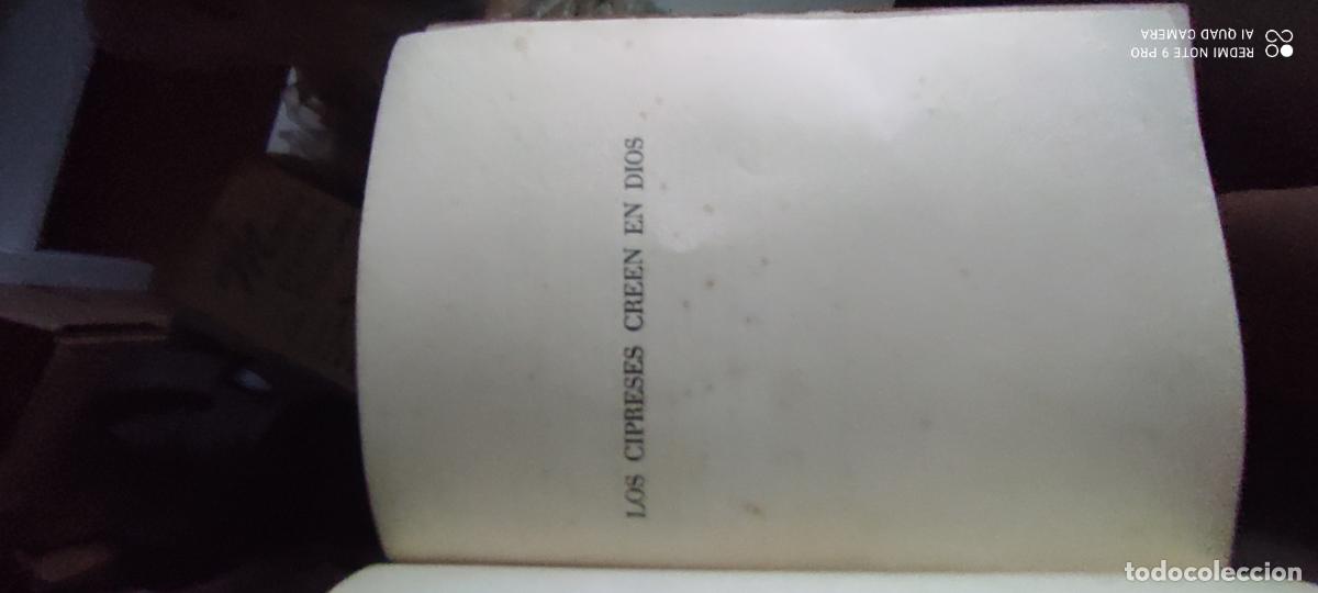 Libros de segunda mano: Los cipreses creen en Dios