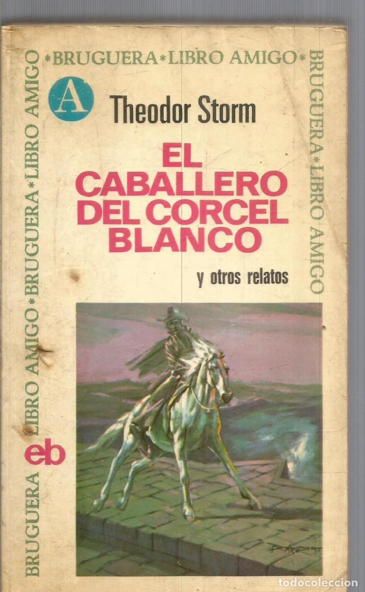 Libros de segunda mano: THEODOR STORM. EL CABALLERO DEL CORCEL BLANCO Y OTROS RELATOS. BRUGUERA