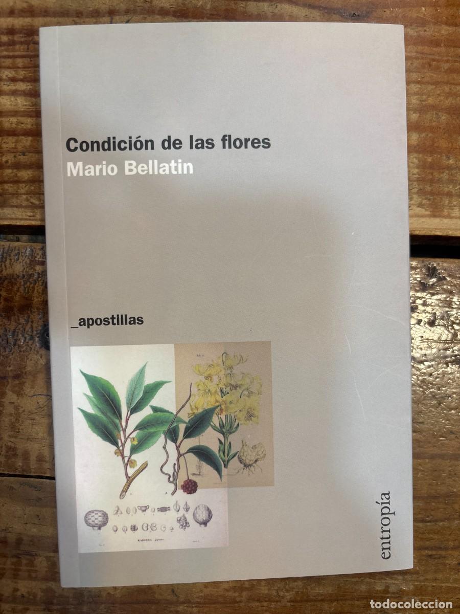 Libros de segunda mano: Condicion de las flores (Spanish Edition) Mario Bellatin