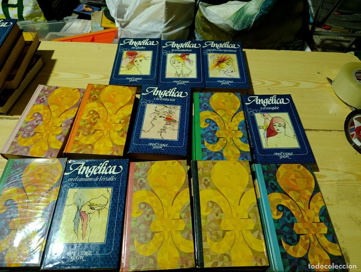 Libros de segunda mano: ANGELICA ANNE. 13 LIBROS. C46L