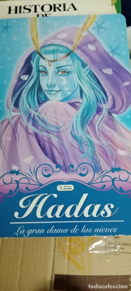 Libros de segunda mano: HADAS LA GRAN DAMA DE LAS NIEVES LIBRO B-P3