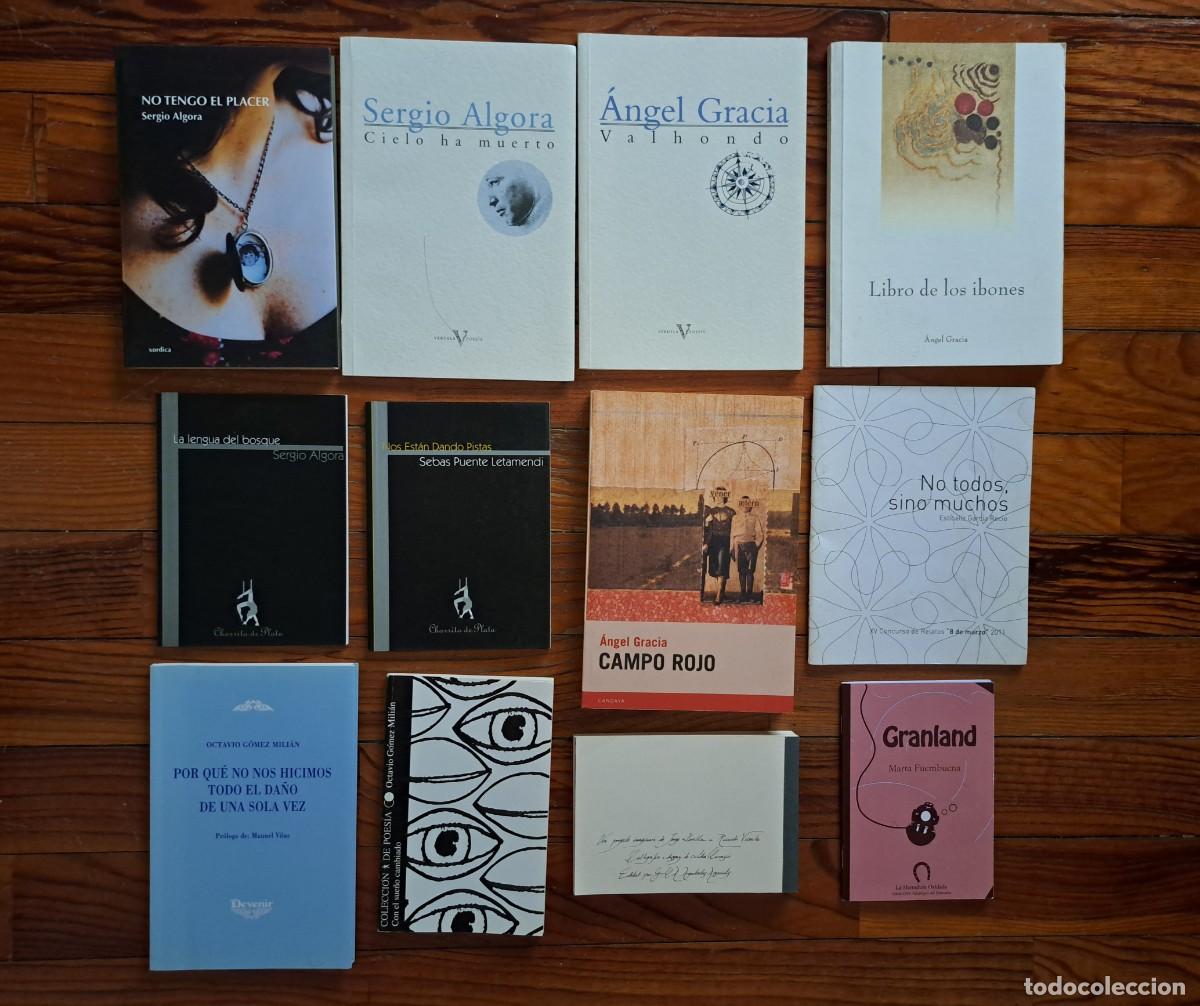 Libros de segunda mano: Lote 12 libros autores de Zaragoza (Algora, etc)