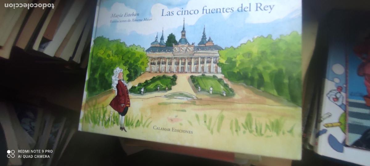 Libros de segunda mano: Las cinco fuentes del Rey - Mar&iacute;a Esteban