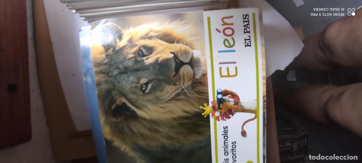 Libros de segunda mano: El le&oacute;n. Mis animales favoritos