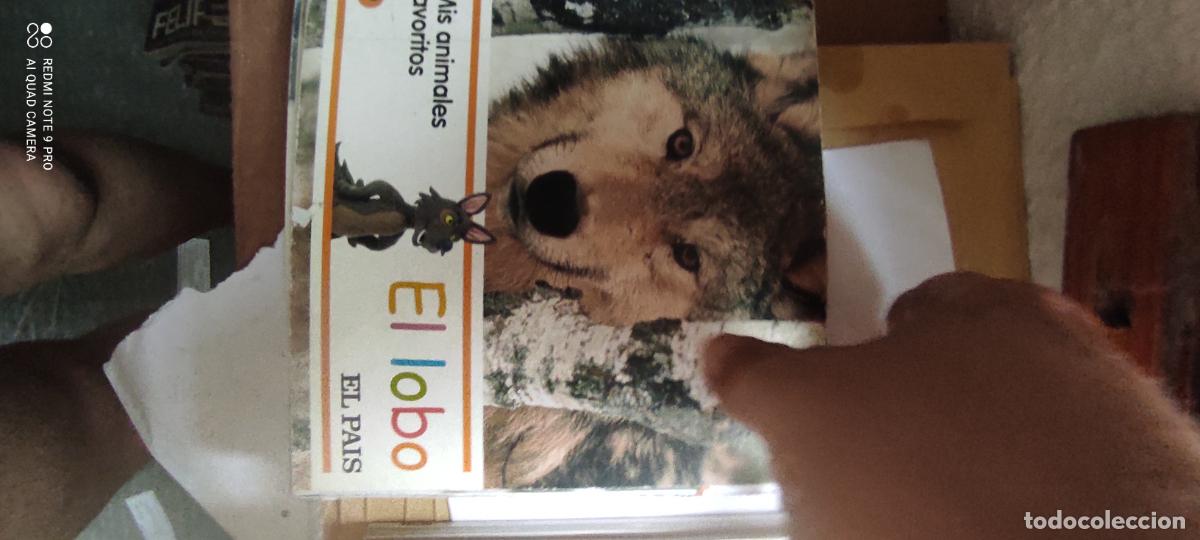 Libros de segunda mano: El lobo. Mis animales favoritos