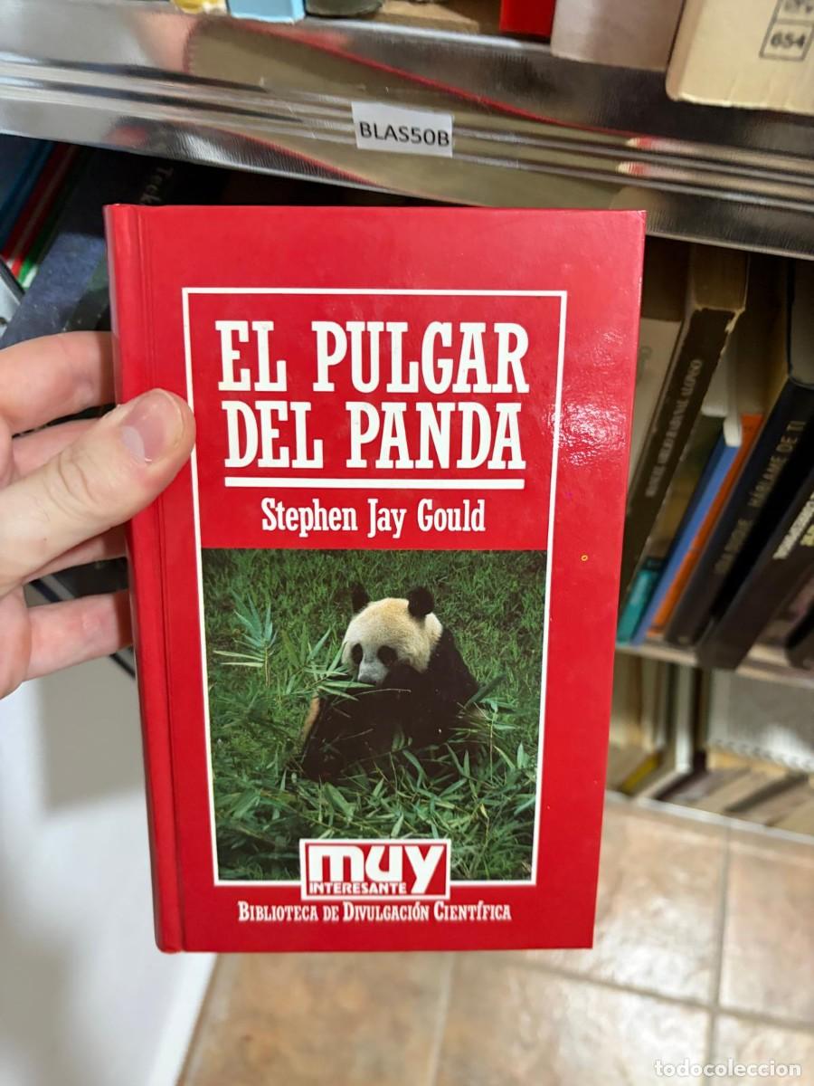 Libros de segunda mano: BLAS50B El pulgar del panda &ndash; Stephen Jay Gould &ndash; Muy Interesante (Biblioteca de Divulgaci&oacute;n Cient&iacute;f