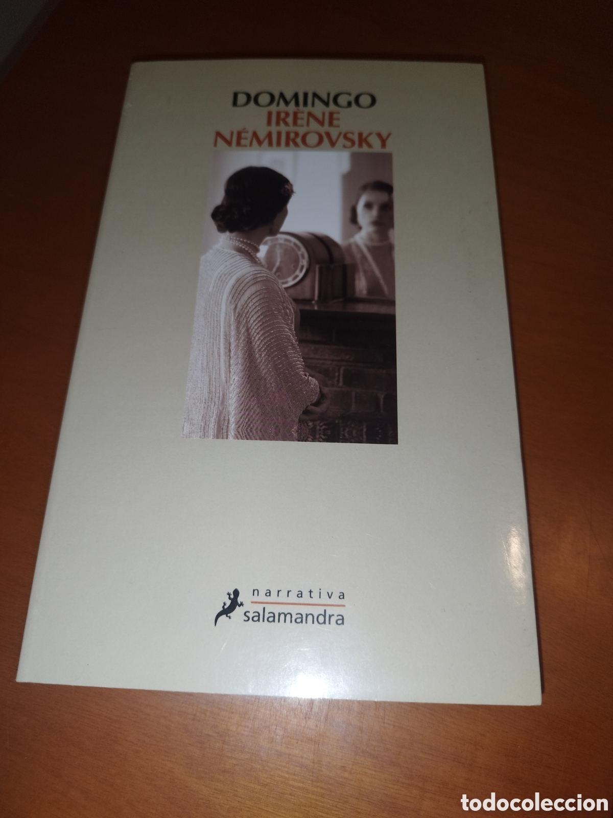 Libros de segunda mano: IRENE NEMIROVSKY: DOMINGO. ED. SALAMANDRA, 2017 PRIMERA EDICION.