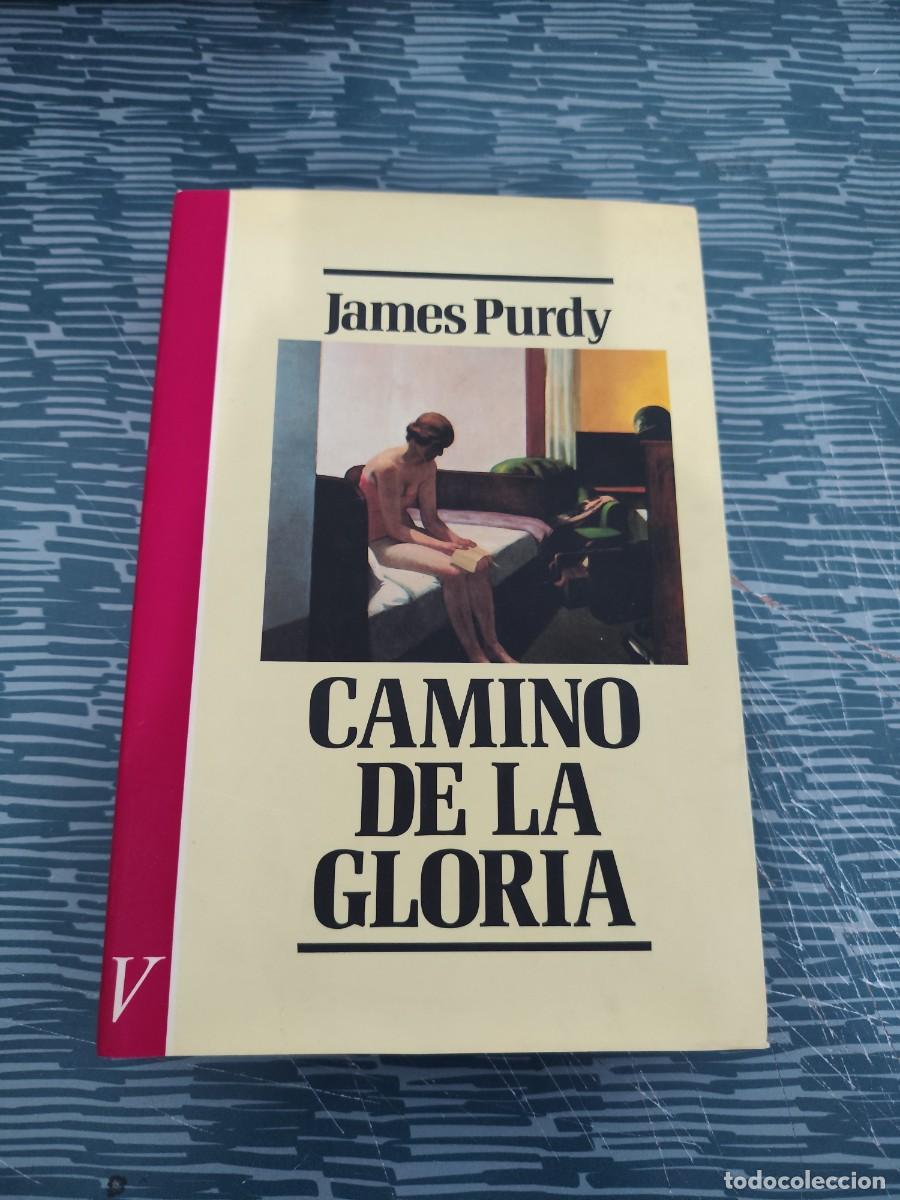 Libros de segunda mano: CAMINO DE LA GLORIA,JAMES PURDY,VERSAL EDITORIAL,1985,374 P&Aacute;GINAS