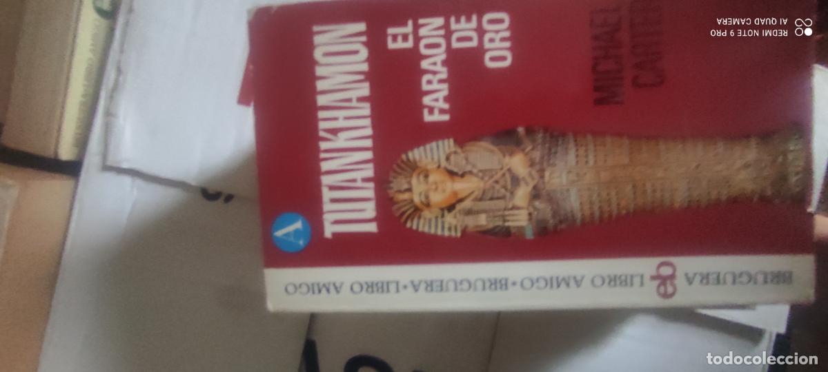 Libros de segunda mano: Tutankhamon. El fara&oacute;n de Oro. Michael Carter. Edit Bruguera libro amigo. 1974