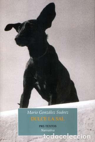 Libros de segunda mano: Dulce la Sal - Gonzalez Suarez, Mario - Editorial Pre-textos - Narrativa, 928