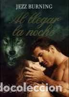 Gebrauchte B&uuml;cher: Al Llegar la Noche - Jezz Burning