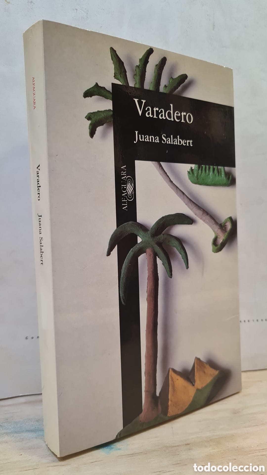 Libros de segunda mano: Varadero - Juana Salabert