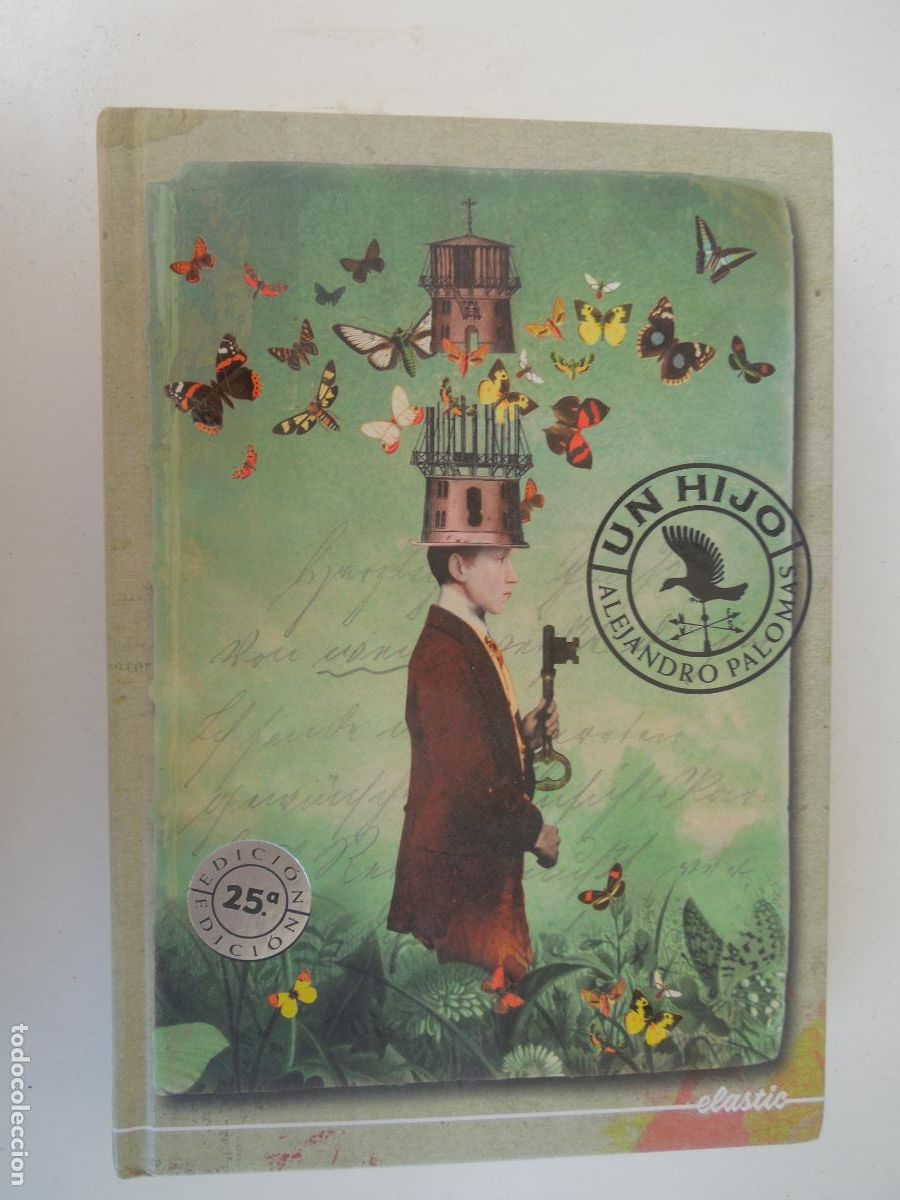Libros de segunda mano: UN HIJO - ALEJANDRO PALOMAS - ELASTIC BOOKS 2023.