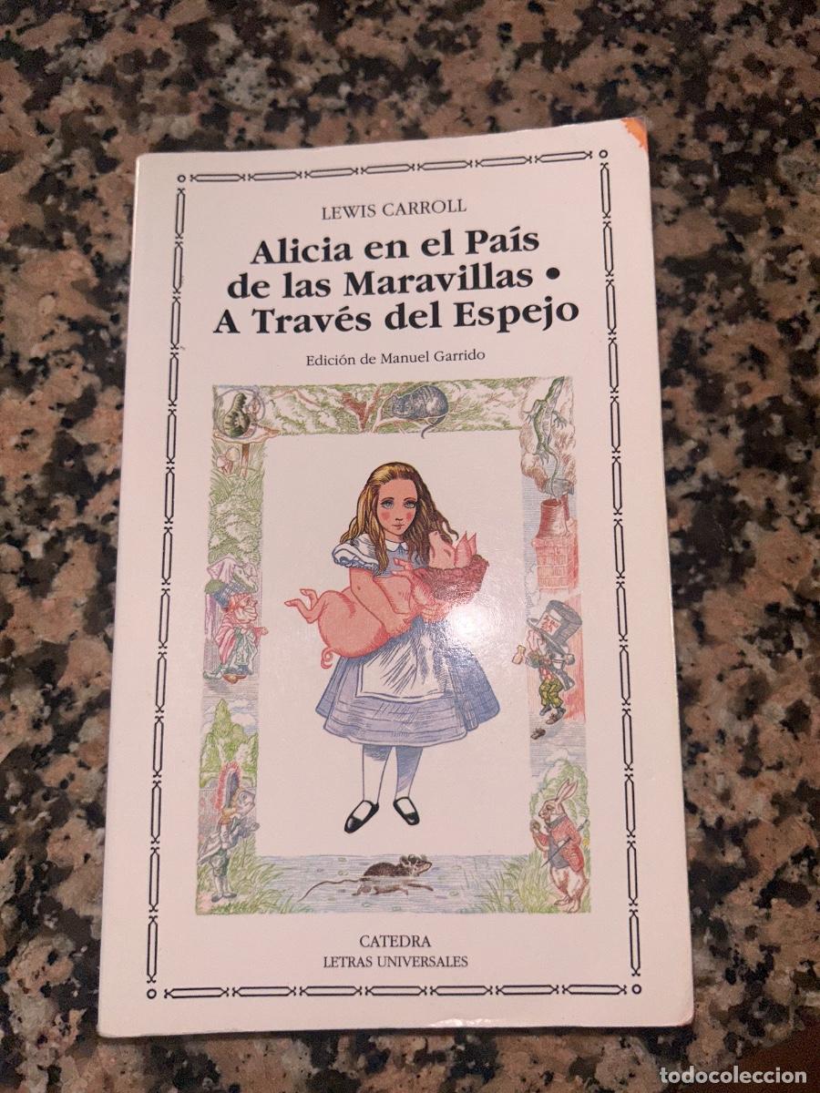 Libros de segunda mano: NOVELA LIBRO FANTASIA