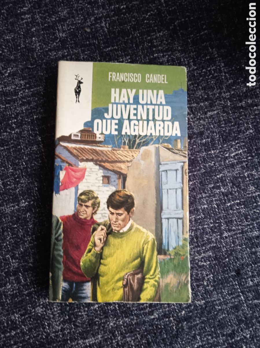 Libros de segunda mano: LIBROS RENO - Hay una juventud que aguarda / Francisco Candel