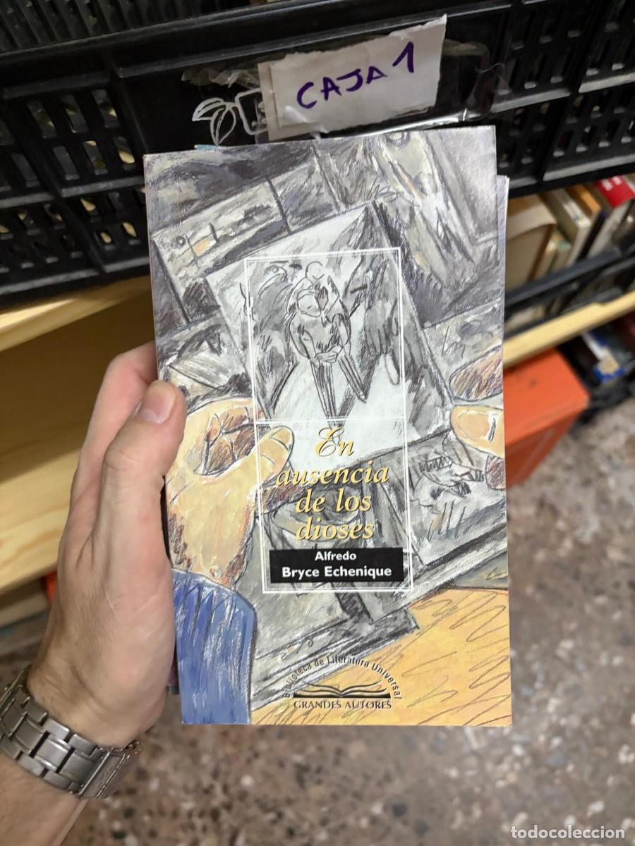 Libros de segunda mano: CAJA1 En ausencia de los dioses &mdash; Alfredo Bryce Echenique &mdash; Bibliotex &mdash; Colecci&oacute;n Grandes Autores, B