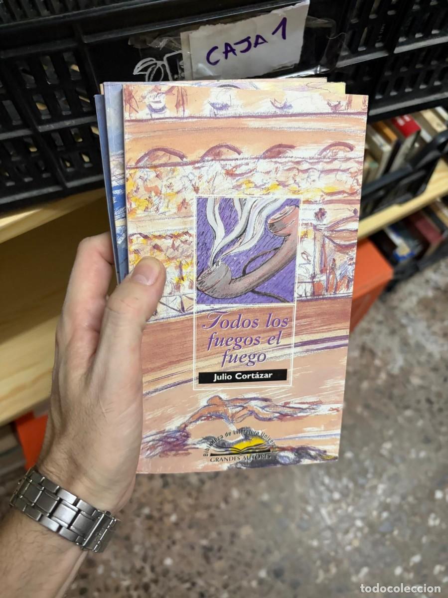 Libros de segunda mano: CAJA1 Todos los fuegos el fuego &mdash; Julio Cort&aacute;zar &mdash; Bibliotex &mdash; Colecci&oacute;n Grandes Autores, Biblioteca