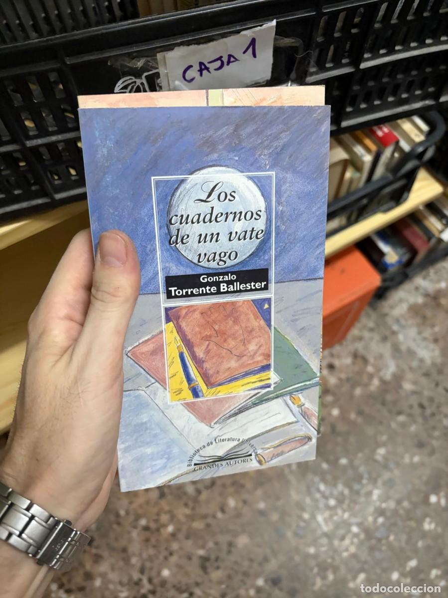 Libros de segunda mano: CAJA1 Los cuadernos de un vate vago &mdash; Gonzalo Torrente Ballester &mdash; Bibliotex &mdash; Colecci&oacute;n Grandes Aut