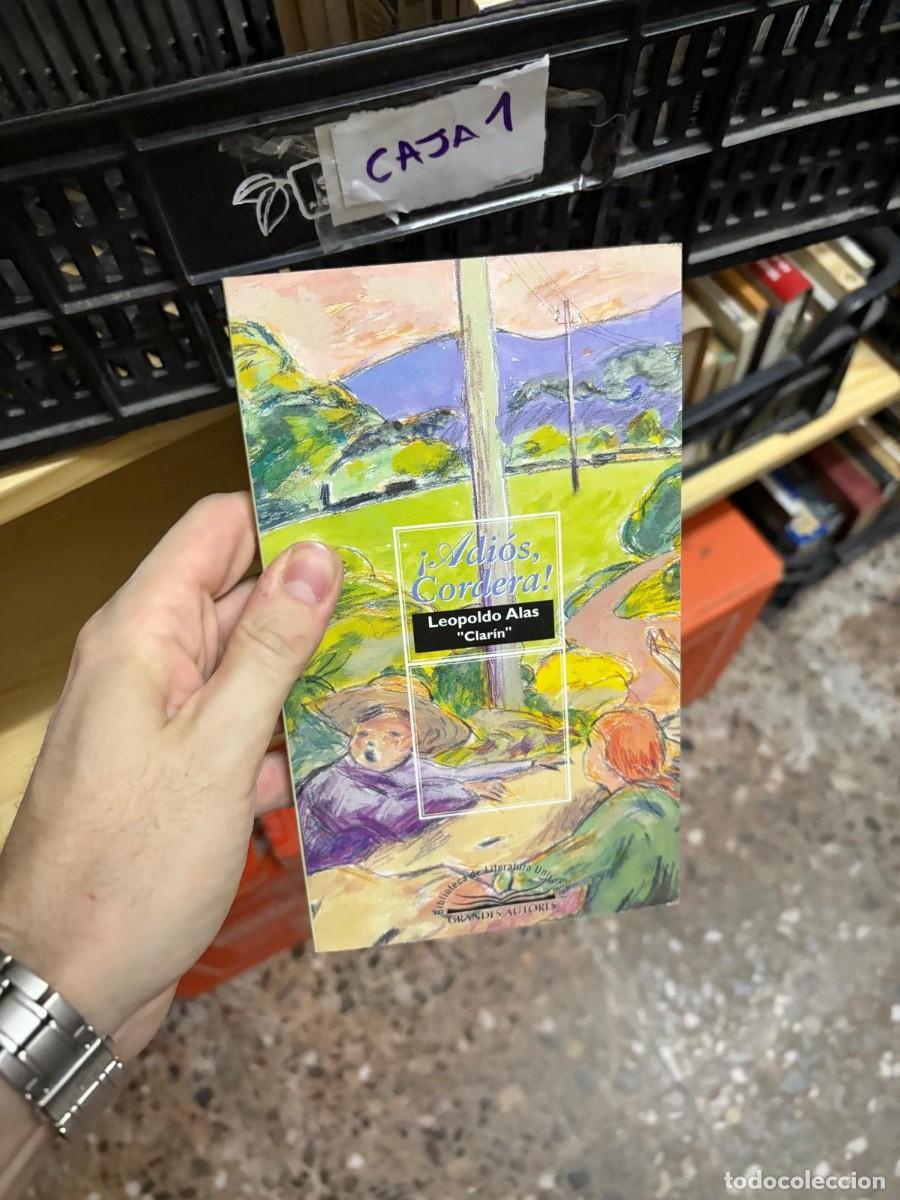 Libros de segunda mano: CAJA1 &iexcl;Adi&oacute;s, Cordera! &mdash; Leopoldo Alas &laquo;Clar&iacute;n&raquo; &mdash; Bibliotex &mdash; Colecci&oacute;n Grandes Autores, Biblioteca