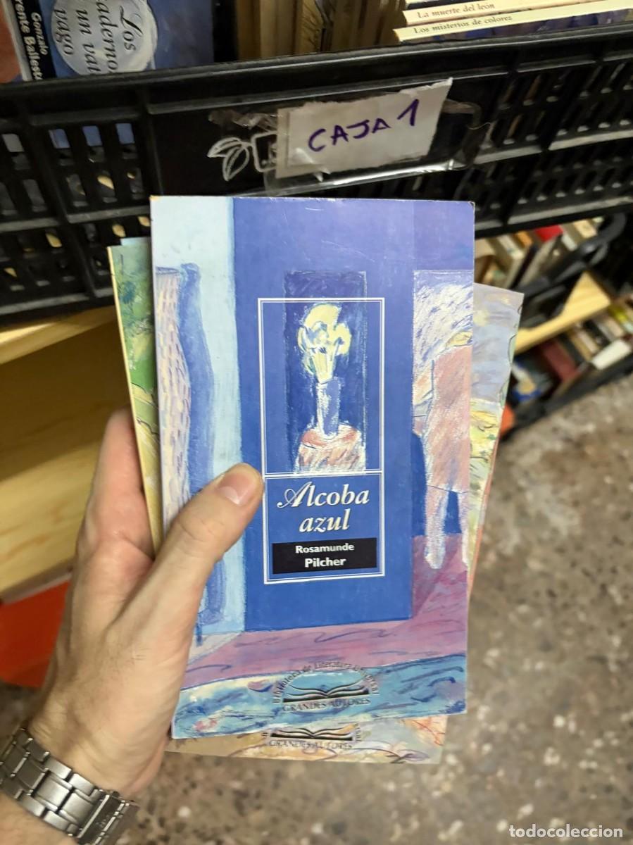 Libros de segunda mano: CAJA1 Alcoba azul &mdash; Rosamunde Pilcher &mdash; Bibliotex &mdash; Colecci&oacute;n Grandes Autores, Biblioteca