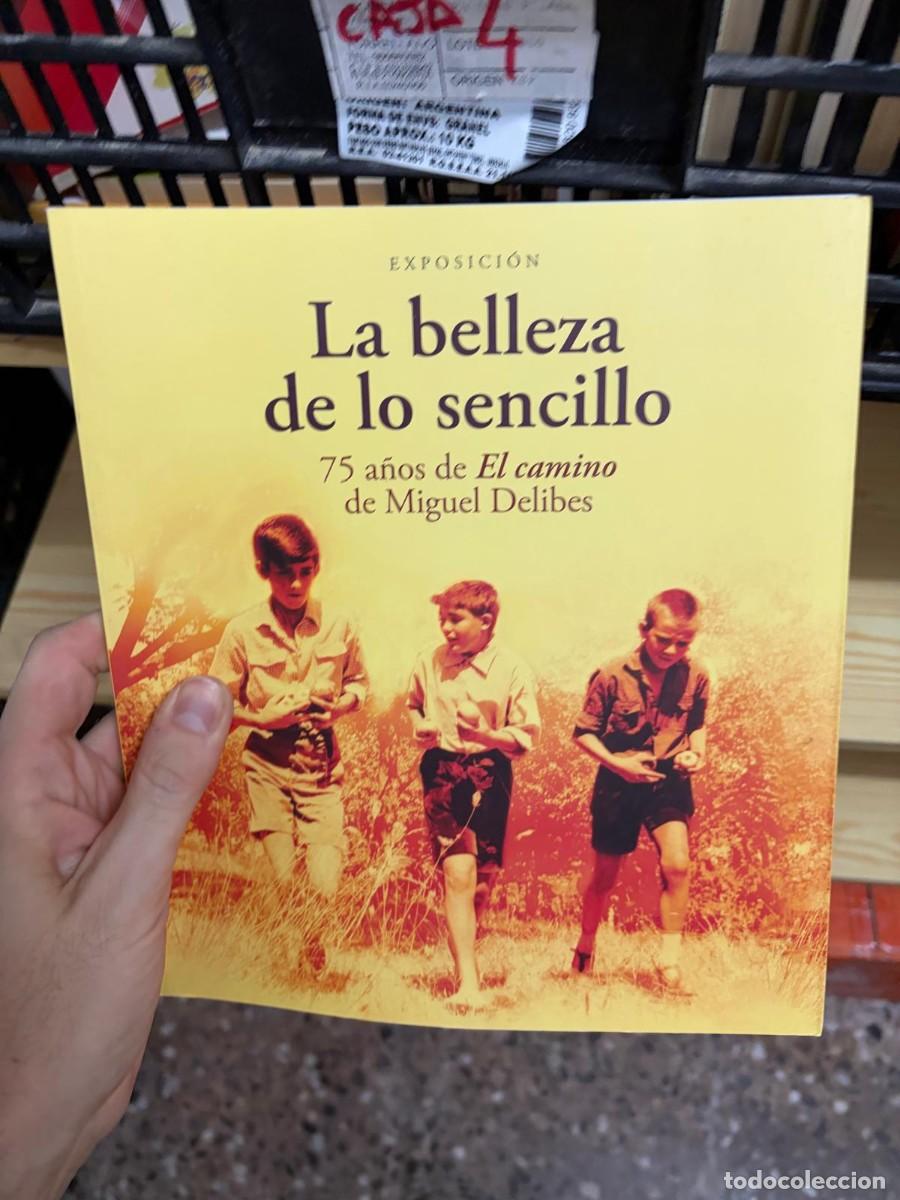 Libros de segunda mano: CAJA4 Exposici&oacute;n, La belleza de lo sencillo. 75 a&ntilde;os de El camino de Miguel Delibes