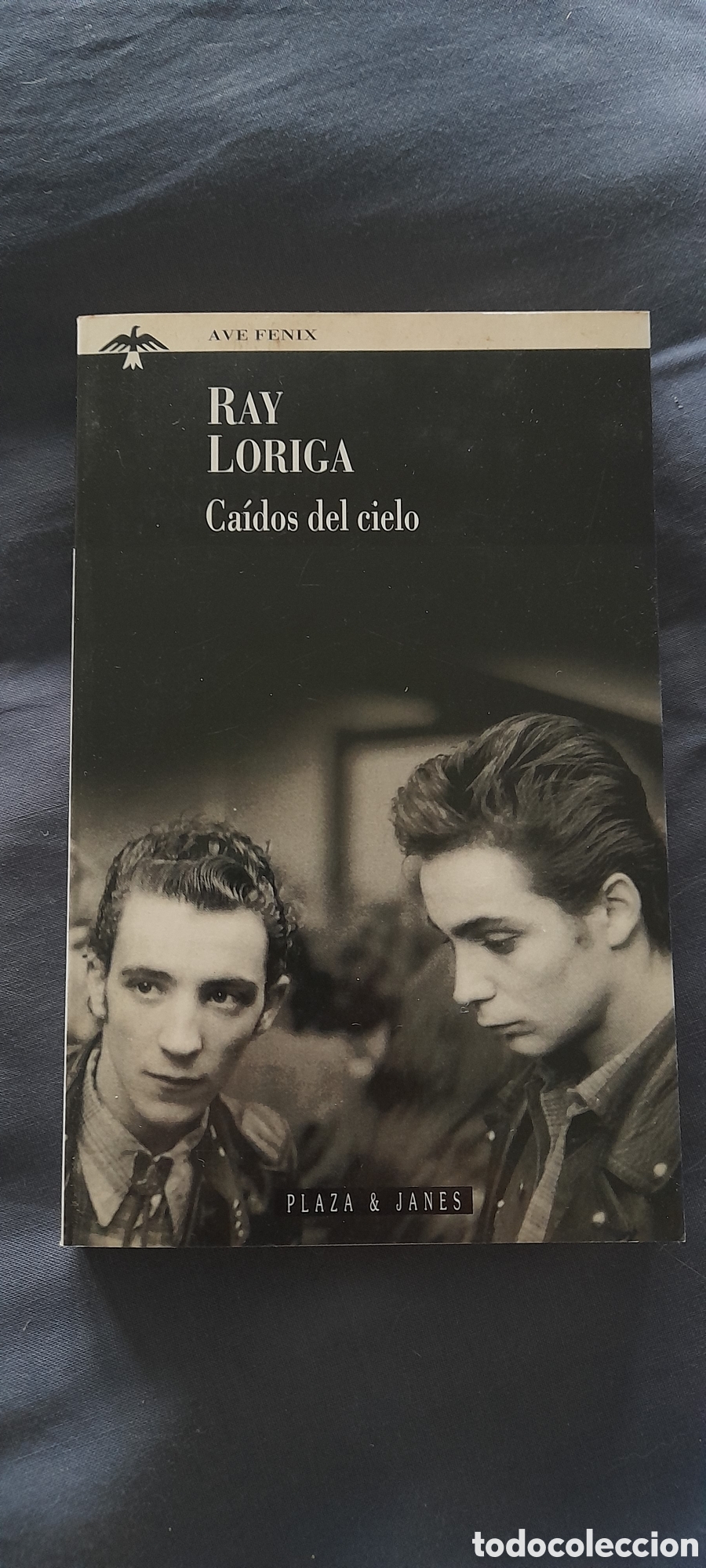 Libros de segunda mano: Ca&iacute;dos del cielo. Ray Loriga