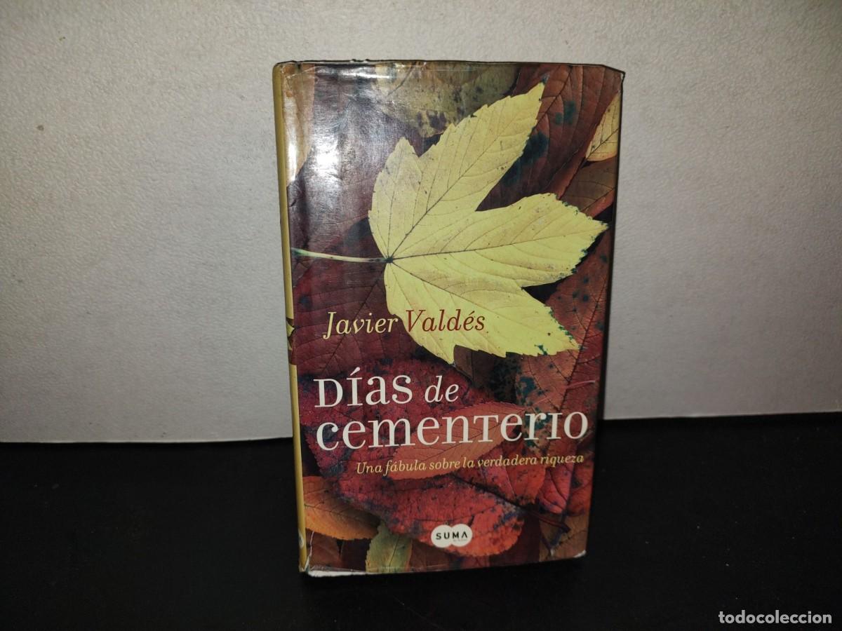 Libros de segunda mano: 197- D&iacute;as De Cementerio. Una F&aacute;bula Sobre La Verdadera Riqueza - Javier Vald&eacute;s - 1A. Ed. 2006