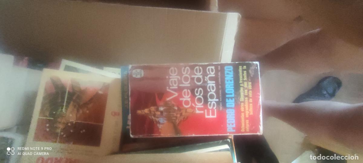 Libros de segunda mano: Viaje de los r&iacute;os de Espa&ntilde;a - LORENZO, Pedro de: