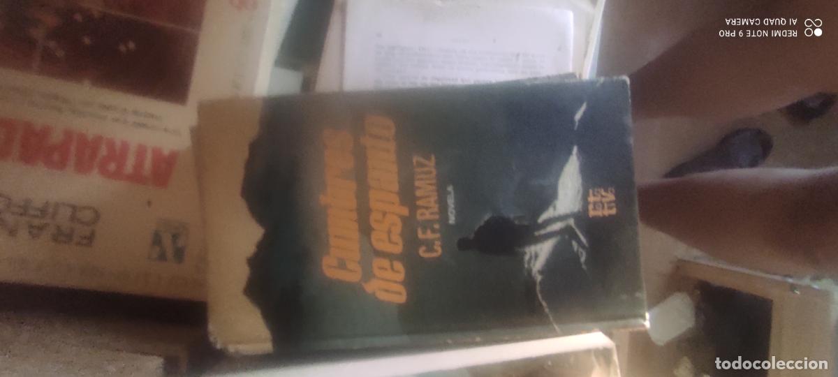 Libros de segunda mano: Cumbres de espanto - Ramuz, C. F.: l