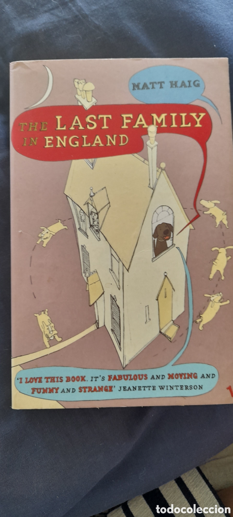 Libros de segunda mano: The last family in England. Matt Haig