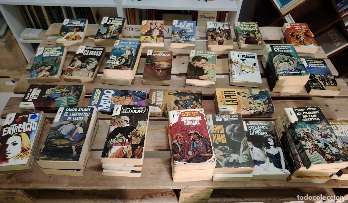 Libros de segunda mano: Colecci&oacute;n Reno (Ediciones GP) Lote de 41 novelas