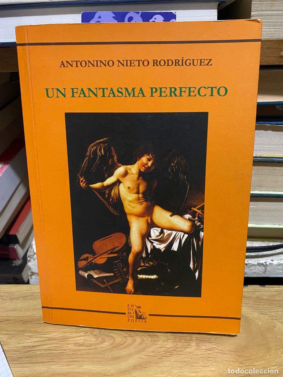 Libros de segunda mano: UN FANTASMA PERFECTO, ANTONIO NIETO RODRIGUEZ, EDT. ENDYMION POESIA